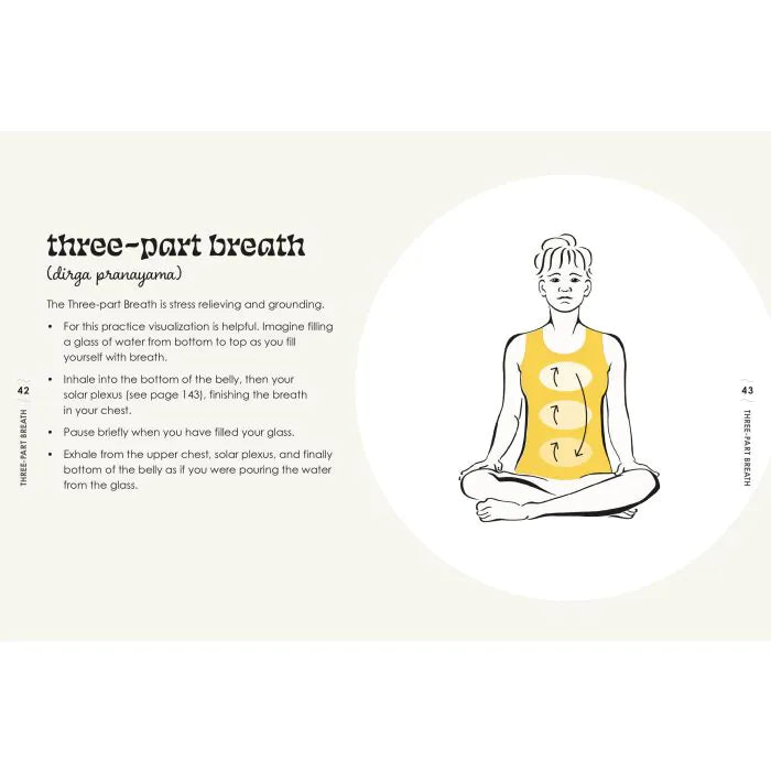 Boxer The Little Book of Yoga