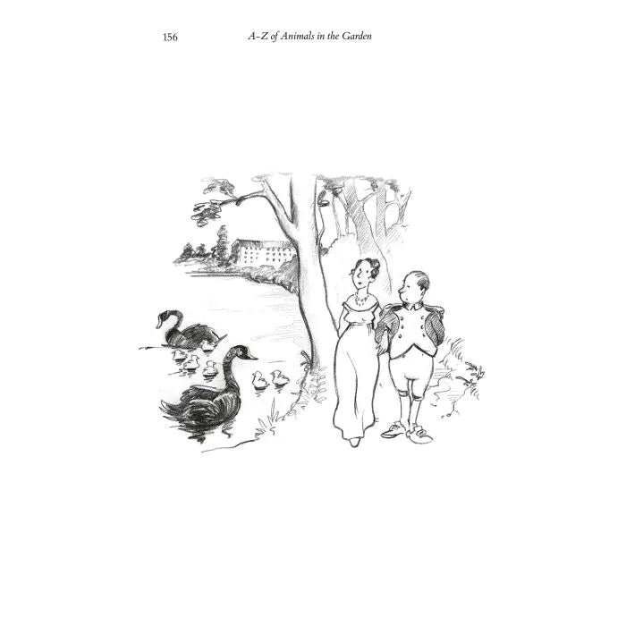 An A to Z Of Animals in the Garden Book
