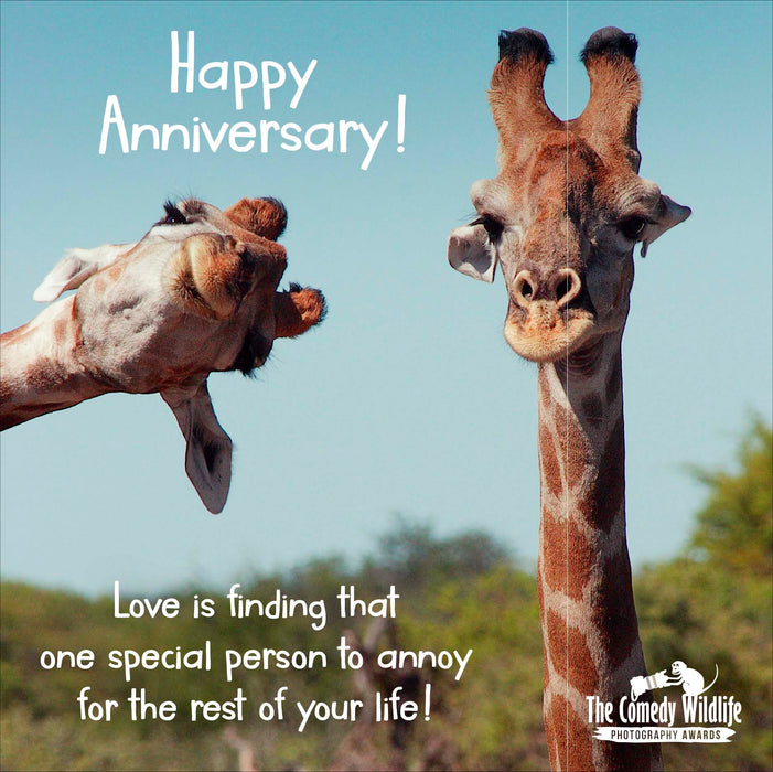UKG Happy Anniversary Love is Finding That One Special Person Card