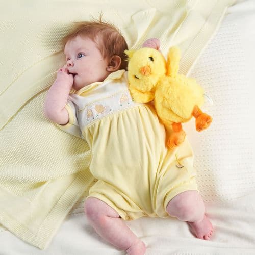 Dandelion Baby Little Chicks Smocked Romper