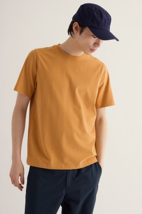 Seasalt Men's Merthen T-Shirt In Mustard Seed