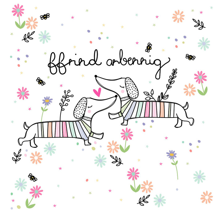 Belly Button 'Ffriend Arbennig' Special Friend Card