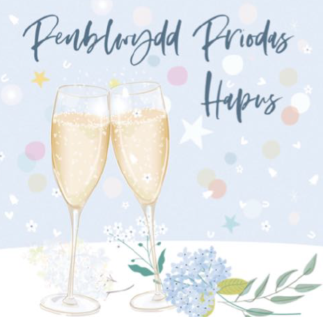 Belly Button 'Penblwydd Dydd Priodus Hapus' Anniversary Card