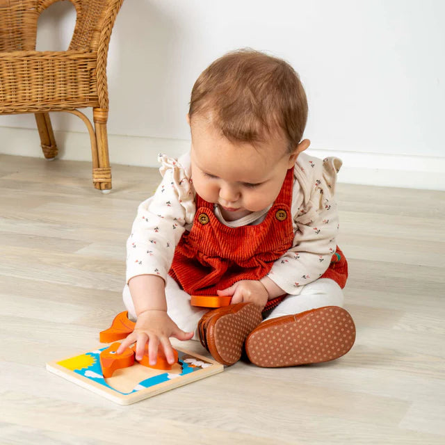 Bigjigs Chunky Lift Out Puzzle Pterodactyl