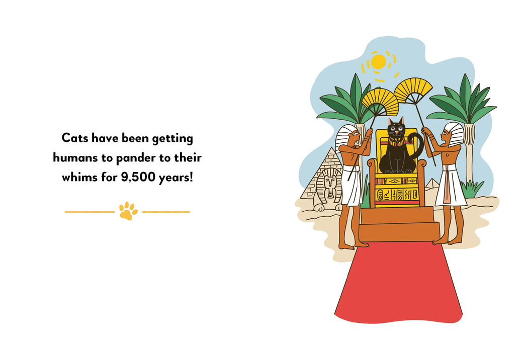 Boxer My Cat's Plans for World Domination