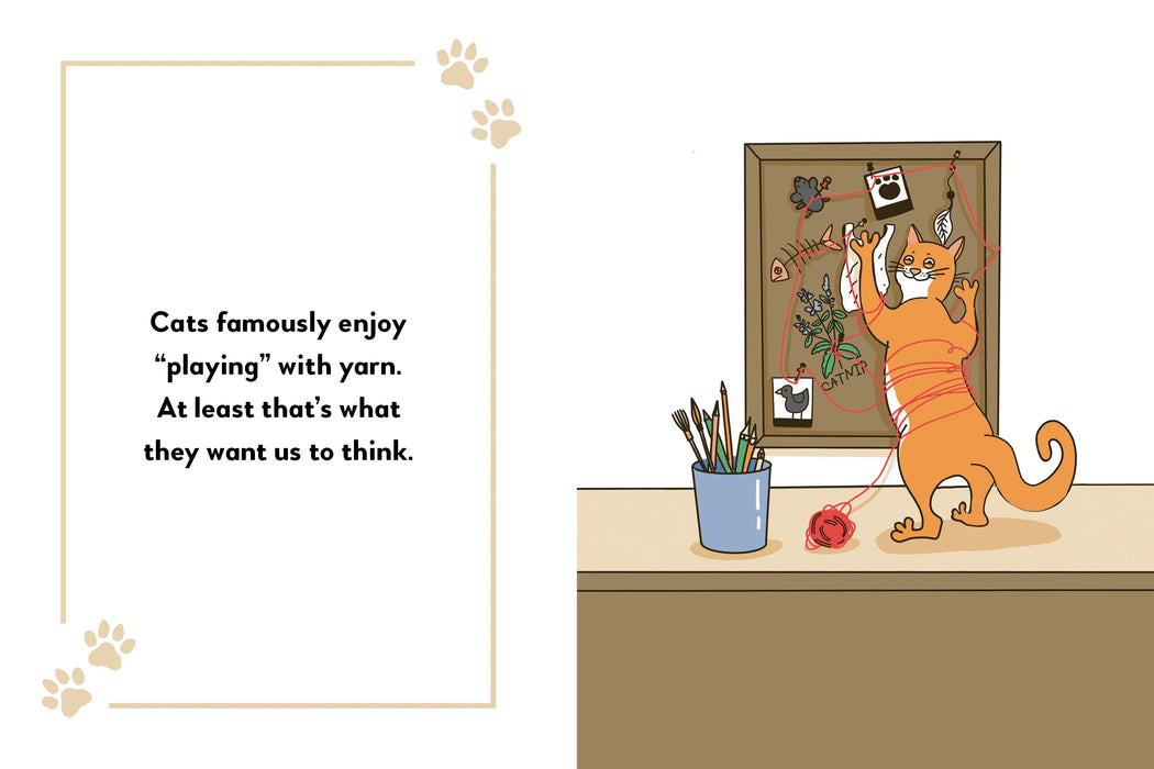 Boxer My Cat's Plans for World Domination