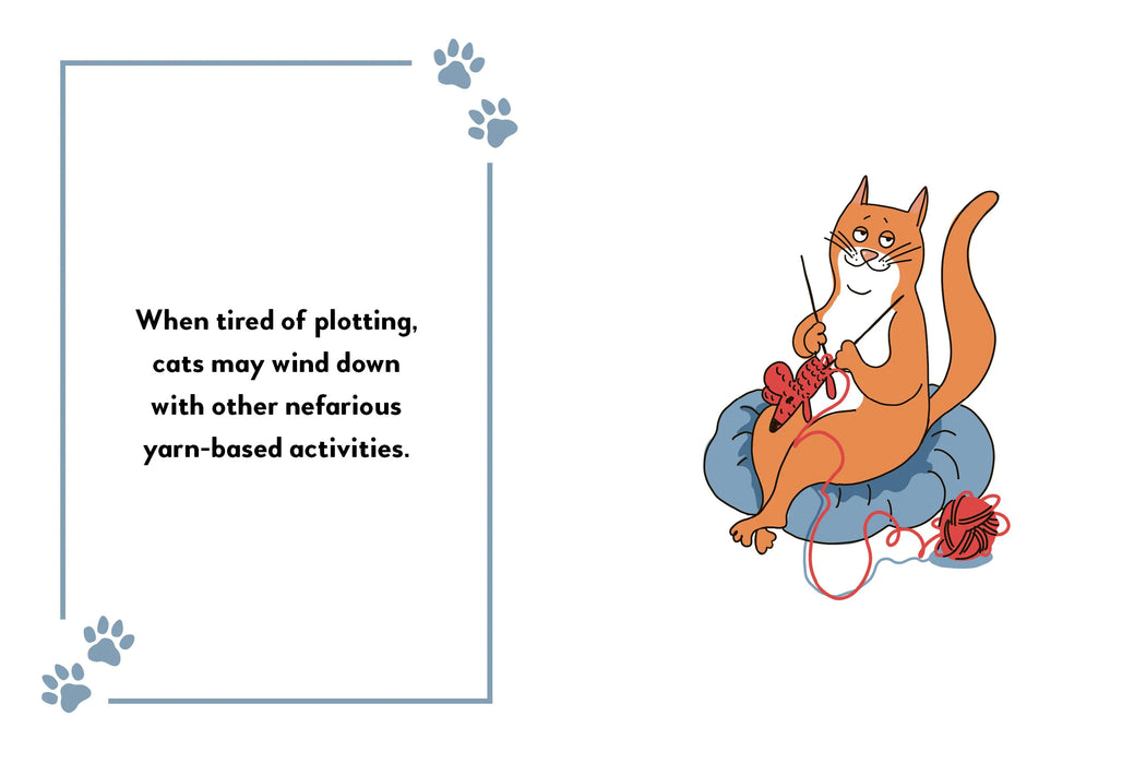 Boxer My Cat's Plans for World Domination