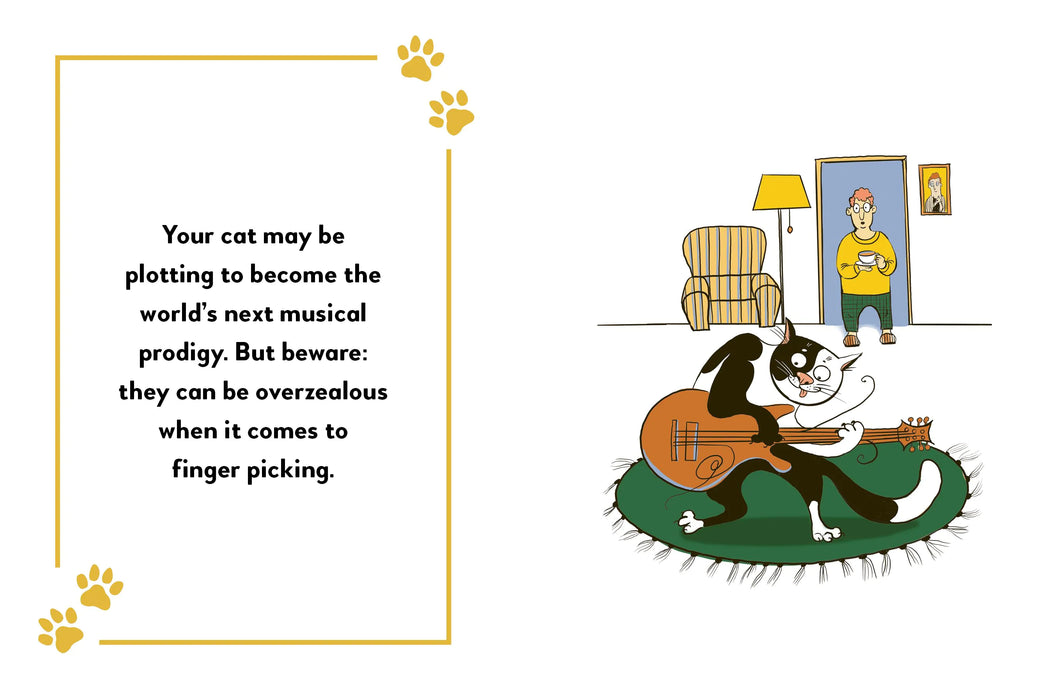 Boxer My Cat's Plans for World Domination