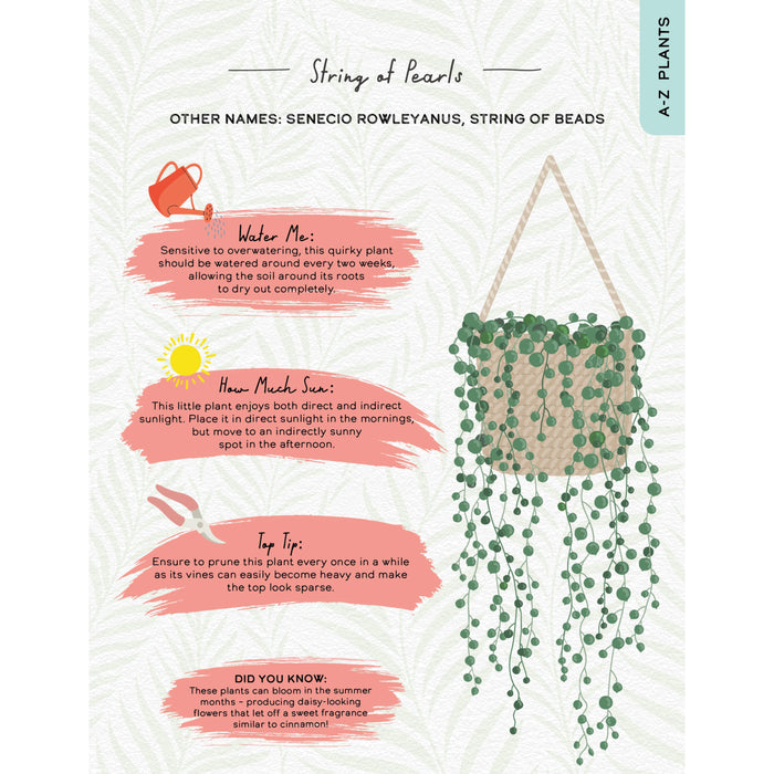 Boxer Please Don't Die A Guide For Neglectful Houseplant Owners Book