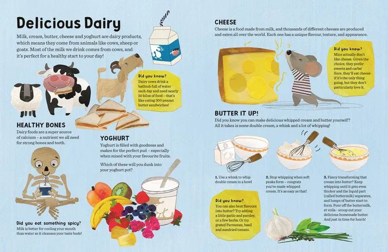 Boxer Fun Fast And Easy Children's Cookbook