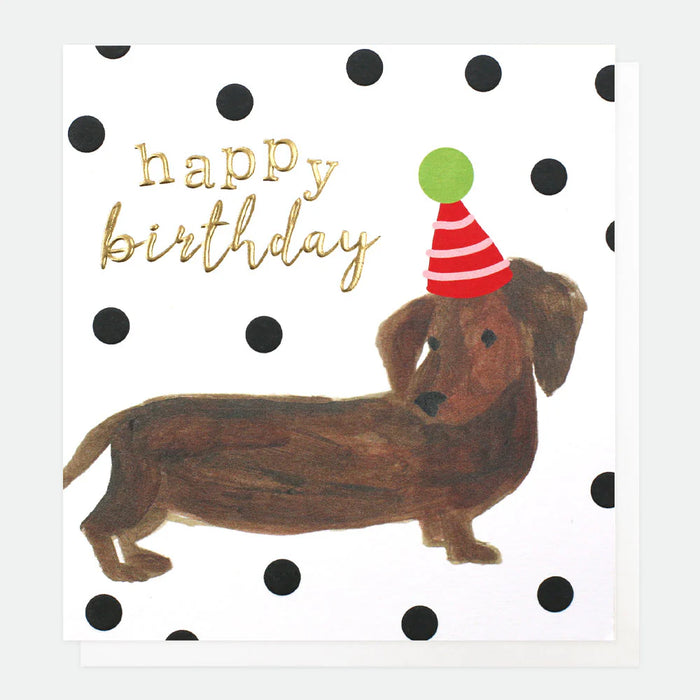 Caroline Gardner Painted Sausage Dog Birthday Card