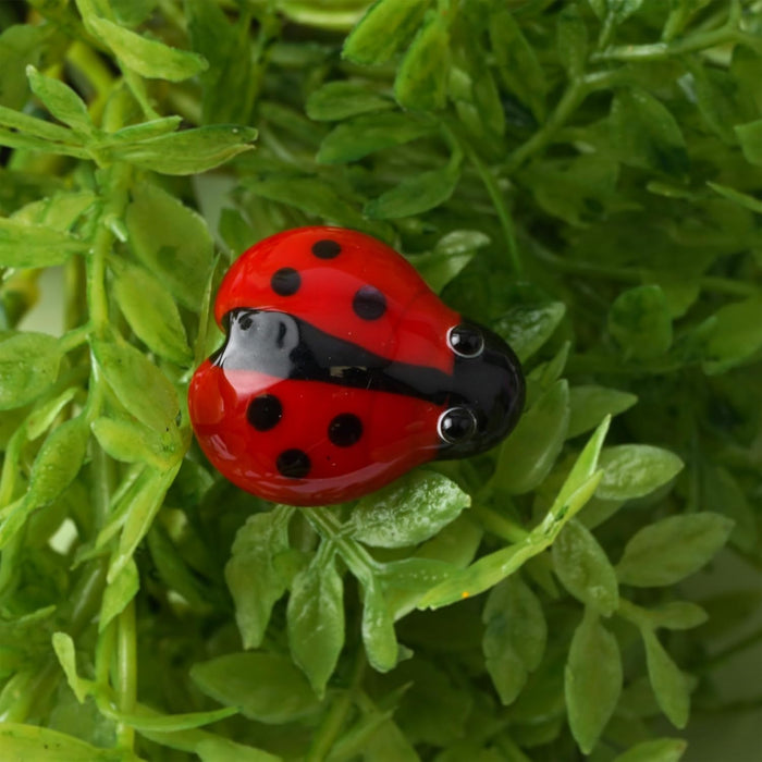 CGB Giftware Glass Ladybird