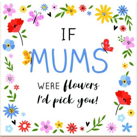 Scentiment Gifts If Mums Were flowers I'd Pick You Coaster
