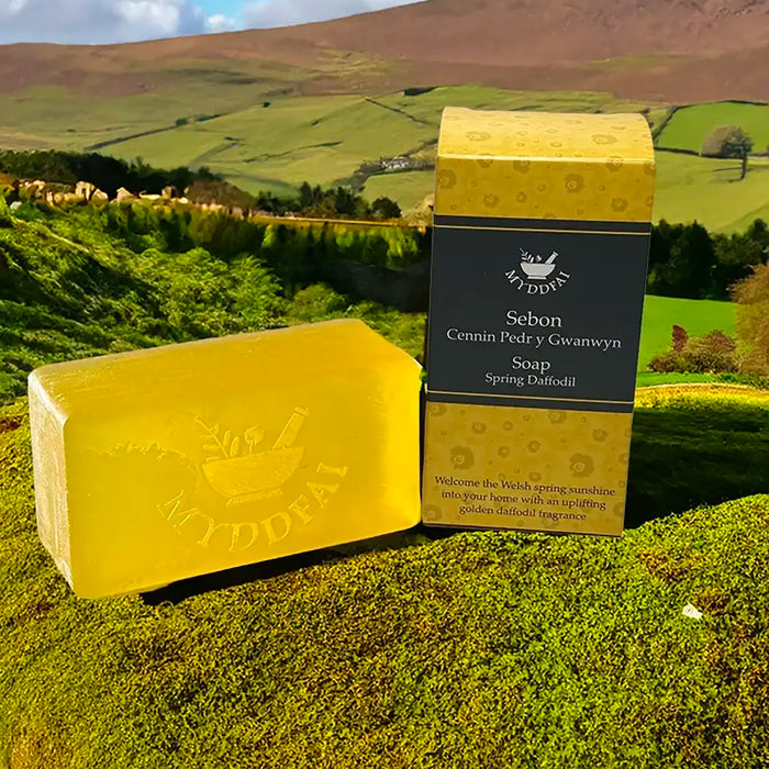 MYDDFAI Soap Cennin Pedr y Gwanwyn (Spring Daffodil)
