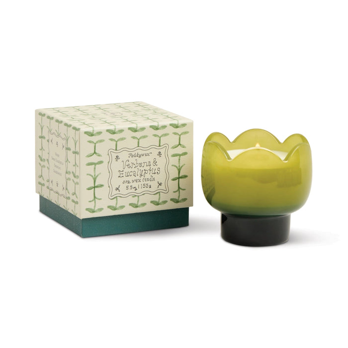Designworks Collective Paddywax Tulip Glass Candle Verbena & Lemongrass