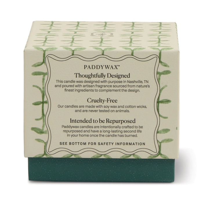 Designworks Collective Paddywax Tulip Glass Candle Verbena & Lemongrass