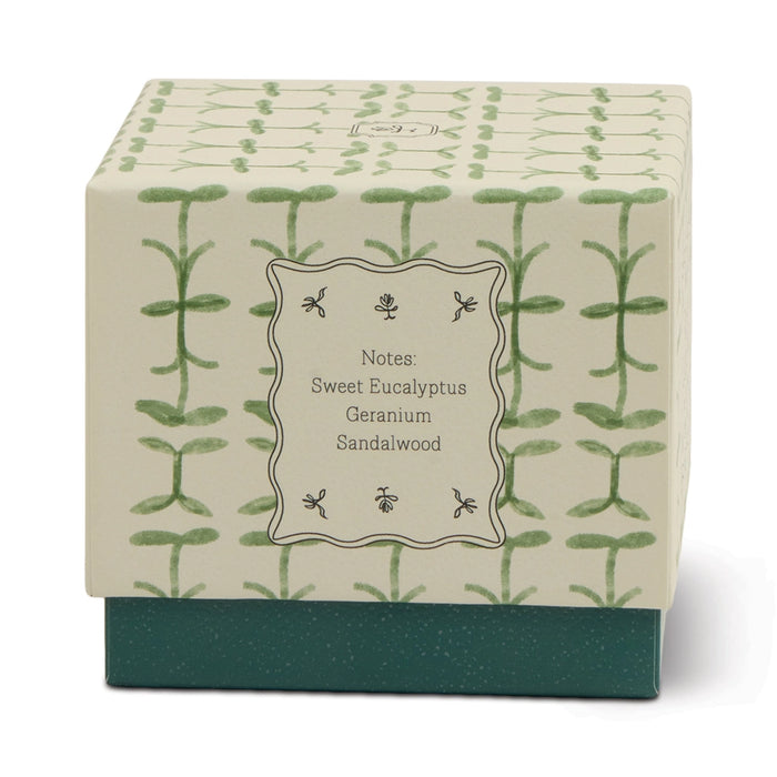 Designworks Collective Paddywax Tulip Glass Candle Verbena & Lemongrass