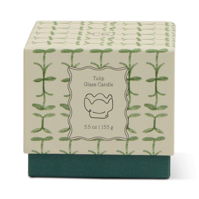 Designworks Collective Paddywax Tulip Glass Candle Verbena & Lemongrass