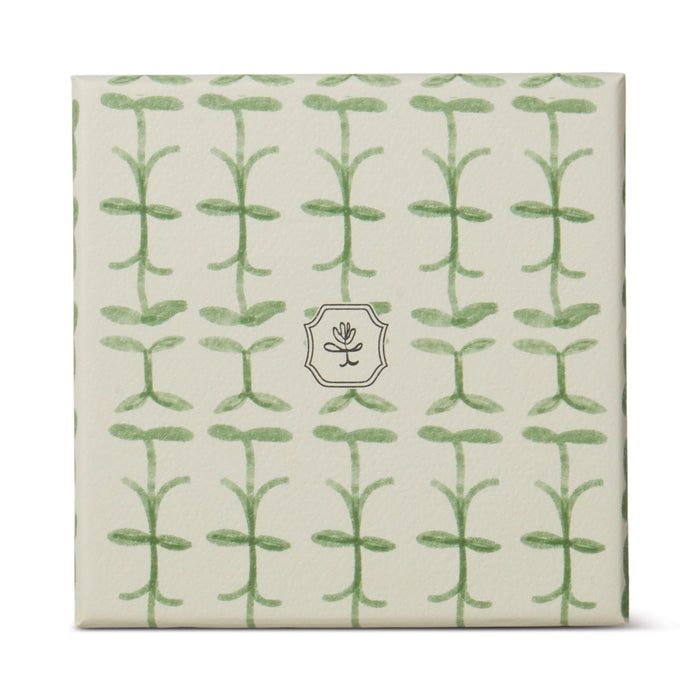 Designworks Collective Paddywax Tulip Glass Candle Verbena & Lemongrass