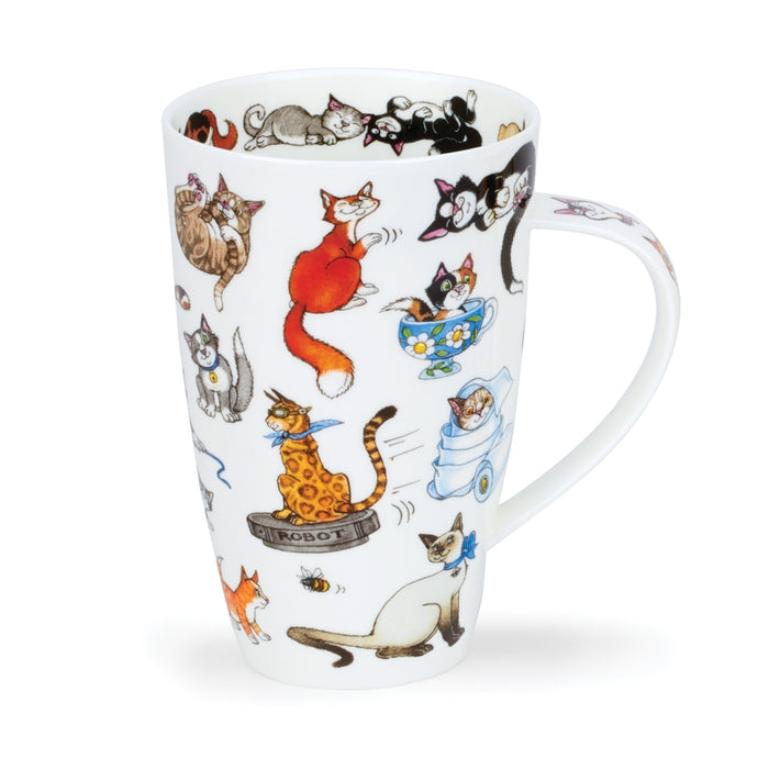 Dunoon Henley Catastrophe Mug