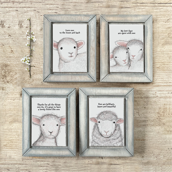 East of India Sheep My best Days Are Spent With Ewe Picture Frame