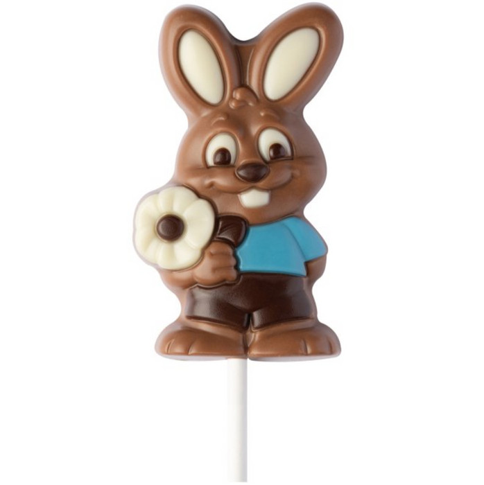 Decorated Milk Chocolate Bunny Lolly