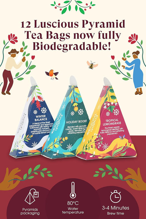 English Tea Shop Vintage Holiday Favourites 12ct