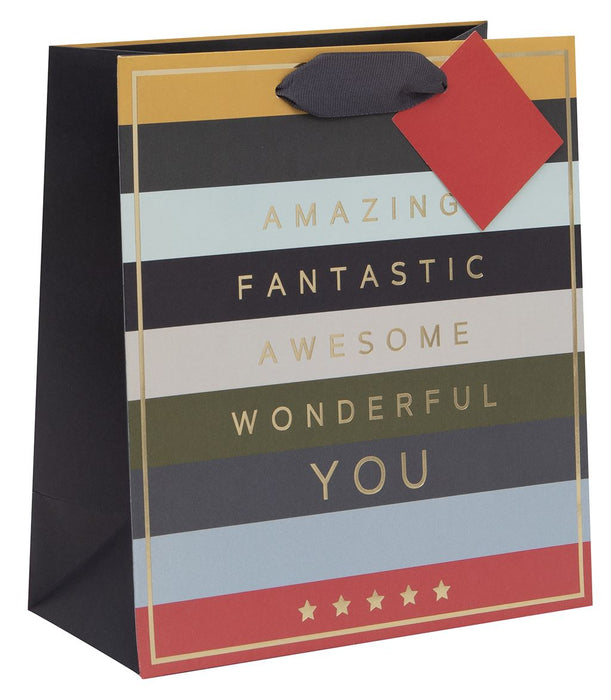 Glick Fathers Day Amazing Stripes Medium Gift Bag