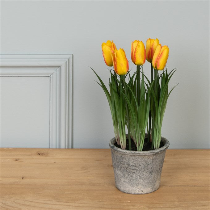 Floralsilk Faux Tulip In Pot Assorted Colours