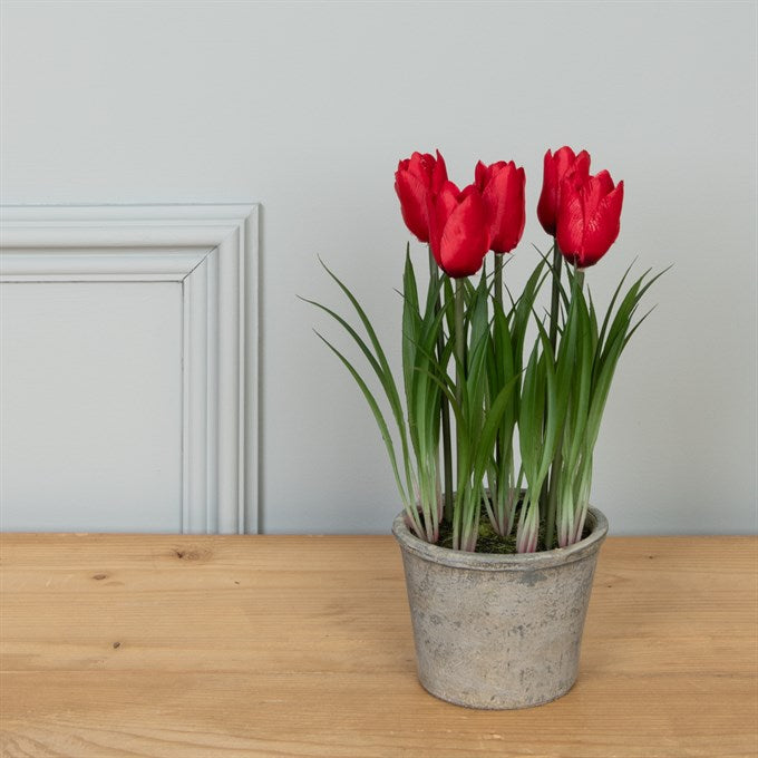 Floralsilk Faux Tulip In Pot Assorted Colours