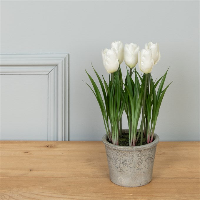 Floralsilk Faux Tulip In Pot Assorted Colours