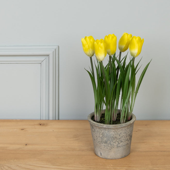 Floralsilk Faux Tulip In Pot Assorted Colours