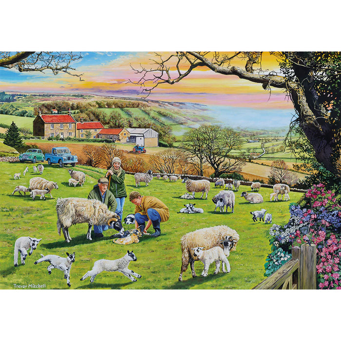 Gibsons Call the Vet 4 x 500 Piece Jigsaw Puzzles