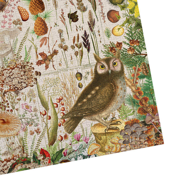 Gibsons RHS Fall Flora 1000 Piece Jigsaw Puzzle