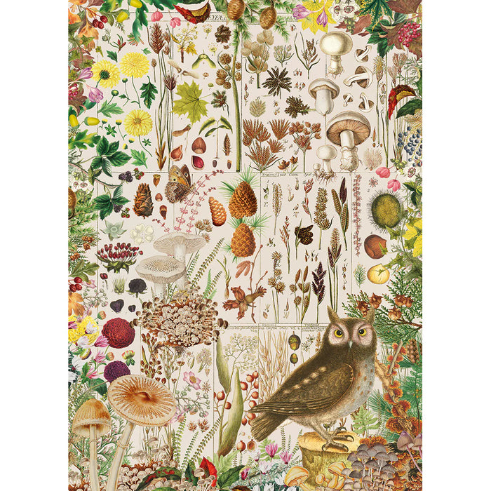 Gibsons RHS Fall Flora 1000 Piece Jigsaw Puzzle