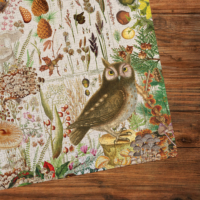 Gibsons RHS Fall Flora 1000 Piece Jigsaw Puzzle