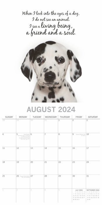The Gifted Stationary Company 2024 Square Wall Calendar - Adorable Dogs