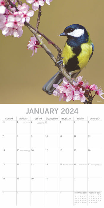 The Gifted Stationary Company 2024 Square Wall Calendar - Birds