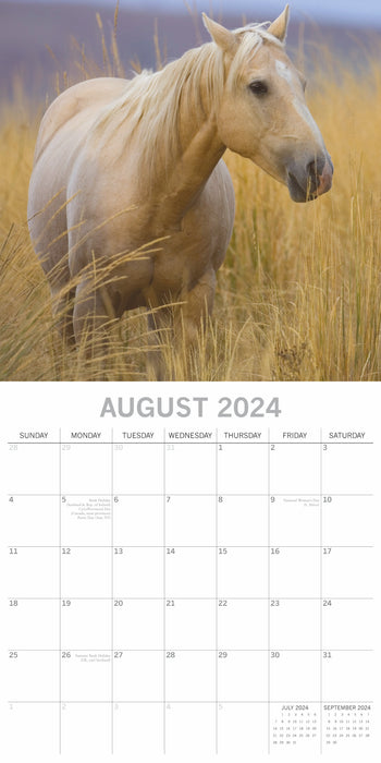 The Gifted Stationary Company 2024 Square Wall Calendar - Horses