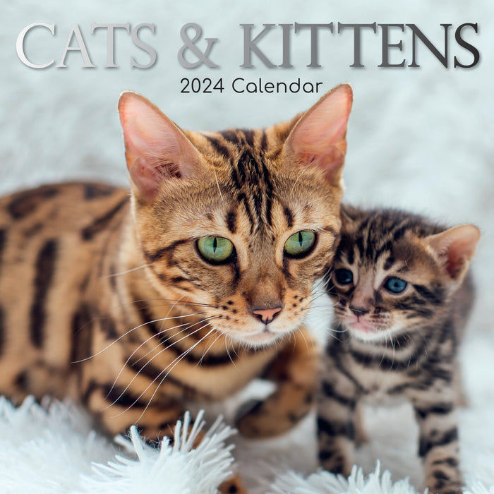 The Gifted Stationary Company 2024 Square Wall Calendar - Cats & Kittens