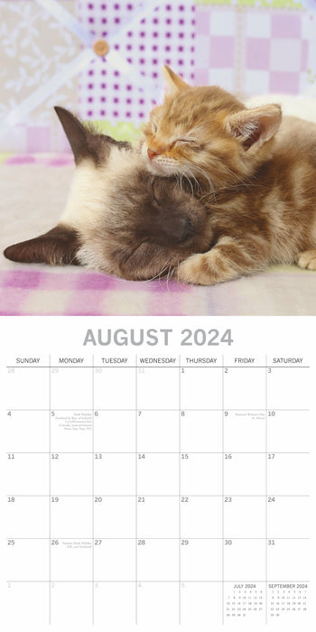 The Gifted Stationary Company 2024 Square Wall Calendar - Cats & Kittens