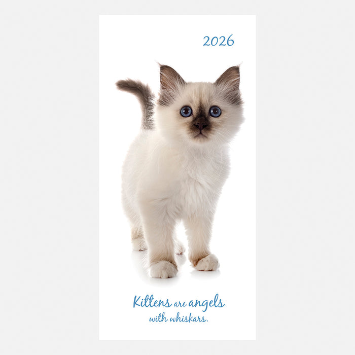 The Gifted Stationery Company 2026 Pocket Diary - Cute Kittens