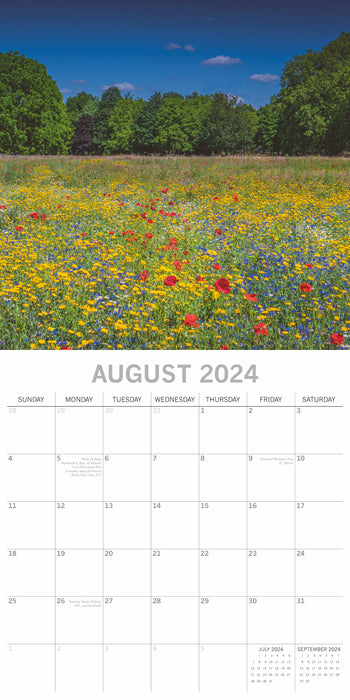 The Gifted Stationary Company 2024 Square Wall Calendar - Wild Flowers