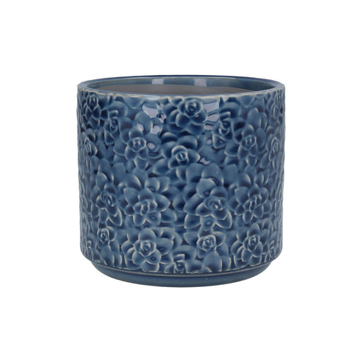 navy succulent pot Gisela Graham Navy Succulents Stoneware Pot Cover 14cm — Maple Gifts
