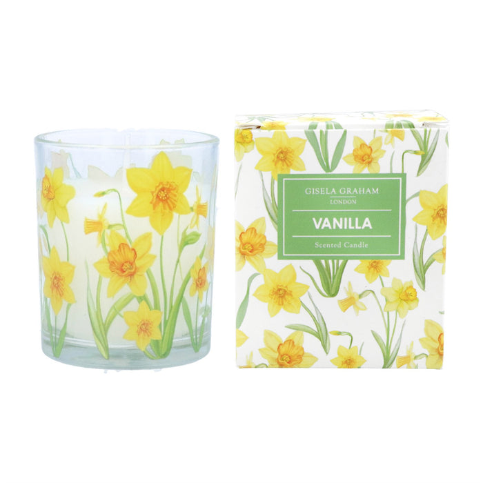 Gisela Graham Daffodil Boxed Scented Candle 7cm