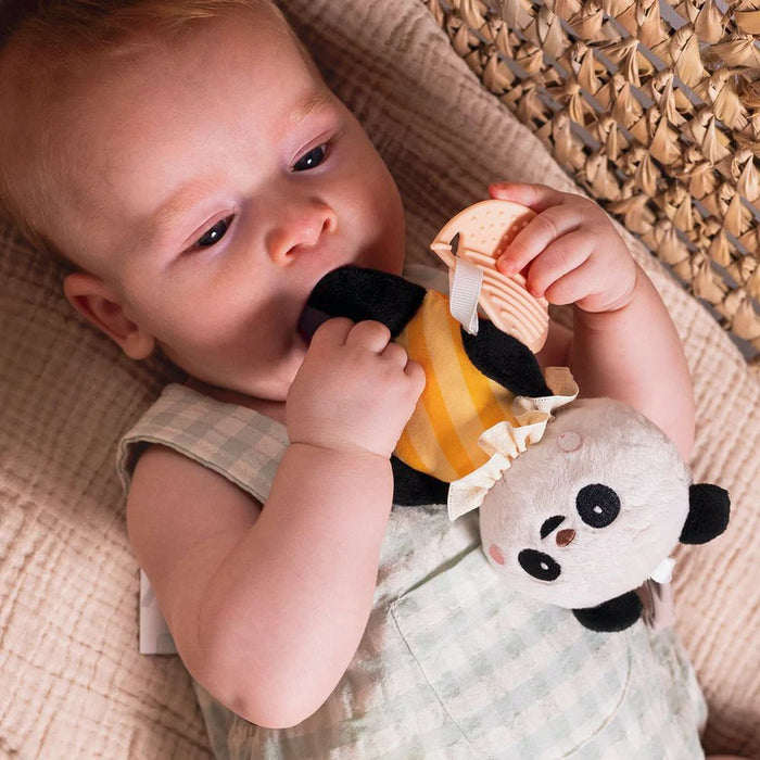 Halilit Taf Toys Pamela Activity Toy