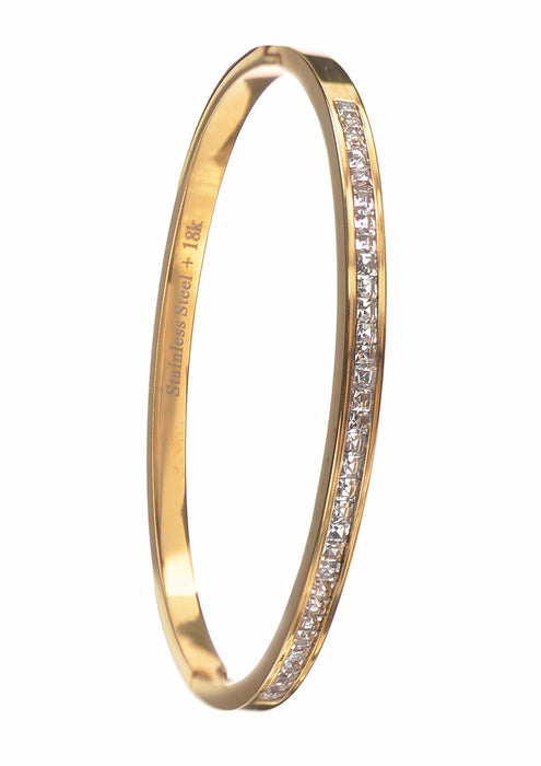 Hot Tomato Stainless Steel W/18k Gold PVD Hinged Crystal Bangle