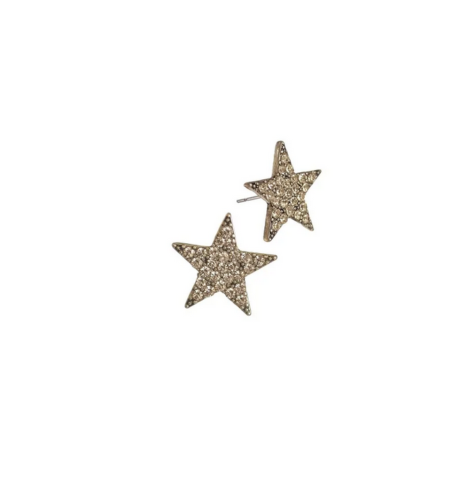 Hot Tomato Crystal Star Clear Crystal Gold Earrings