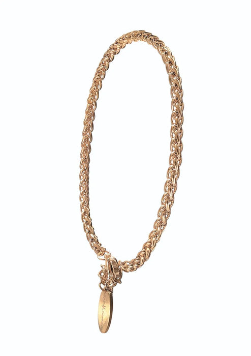 Hot Tomato Stainless Steel With 18K Gold Rope Chain