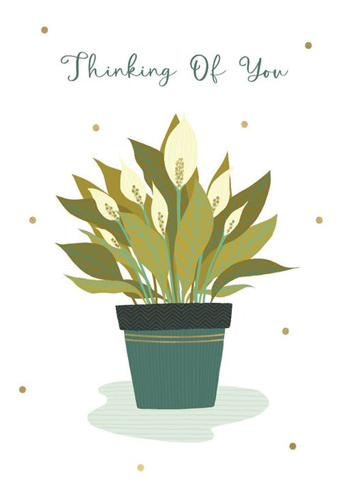 ICG 'Thinking Of You Sympathy' Sympathy Card